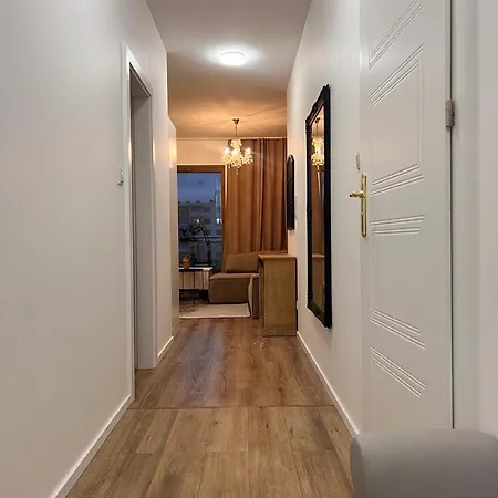 Aurora Prestige 2